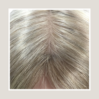 Dubbelritad European Human Remy Hair Silk Part Peruk