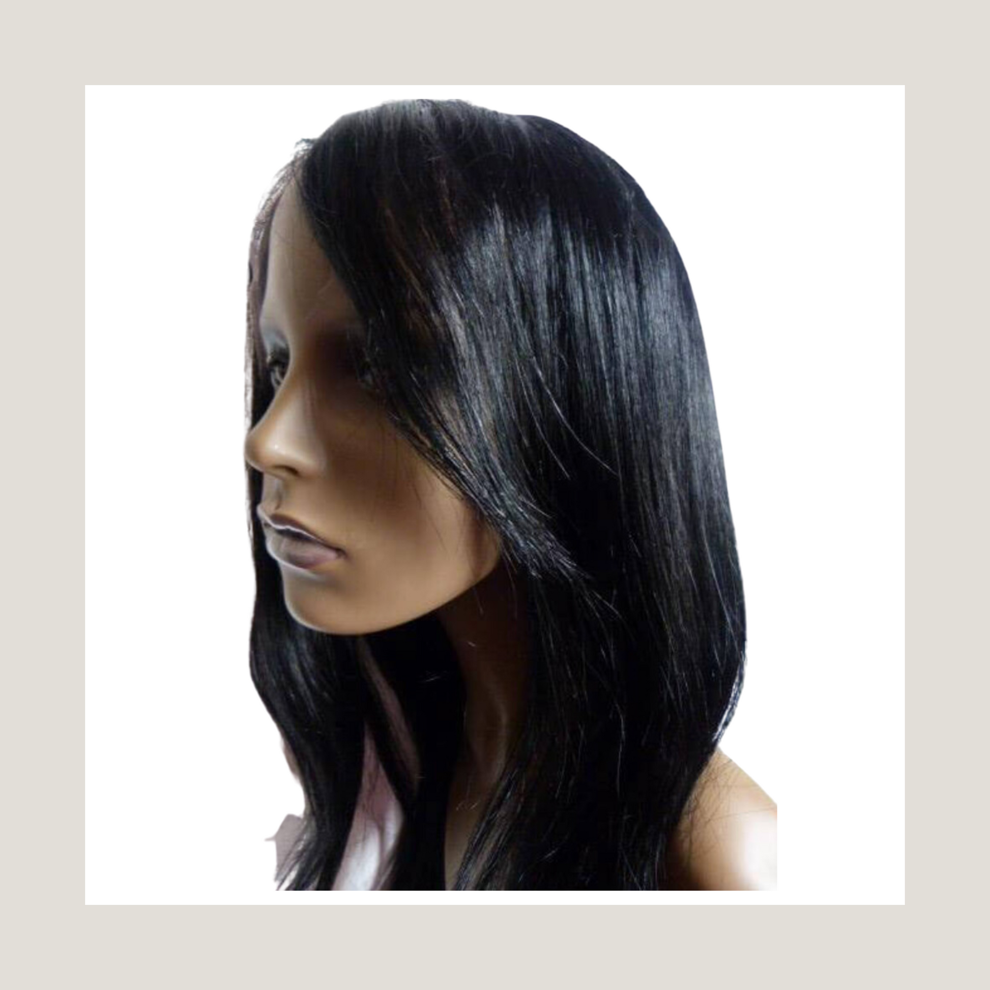 Virgin remy shop human hair wigs