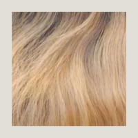 Balayage Lace Closure