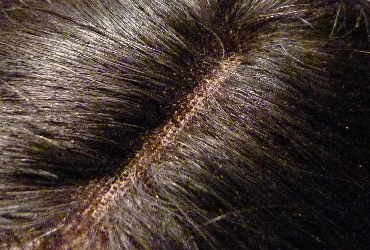 Indian Virgin Remy Lace Top Closure - 4"x4"-Virgin Hair & Beauty, De bästa hårförlängningarna, Real Virgin Human Hair.